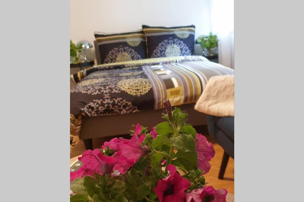 Apartment 1 *