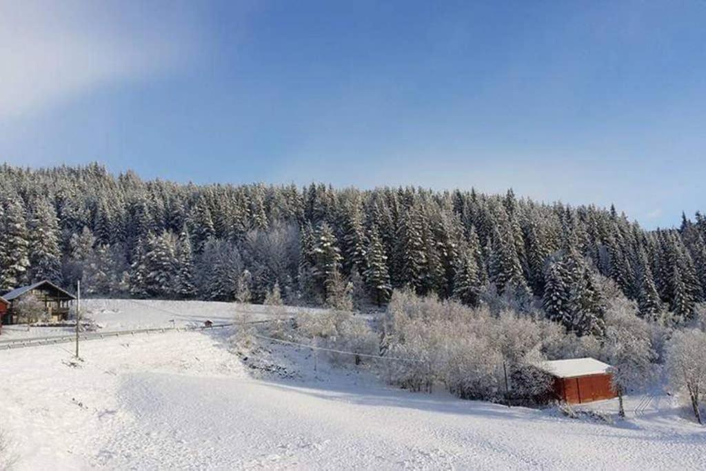 1 Appartement Dalen